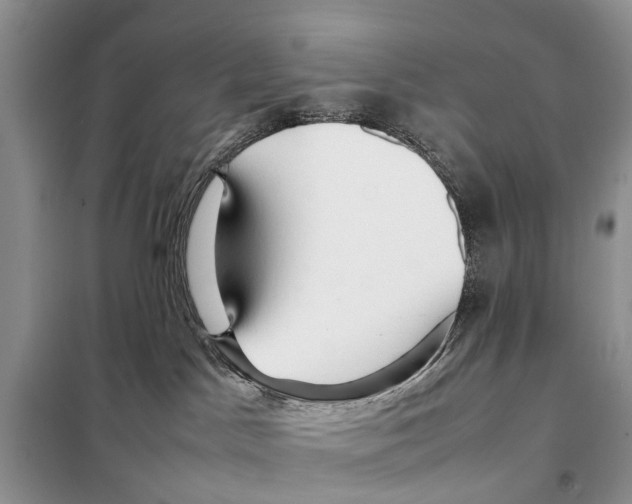 X0000097900045200804111056