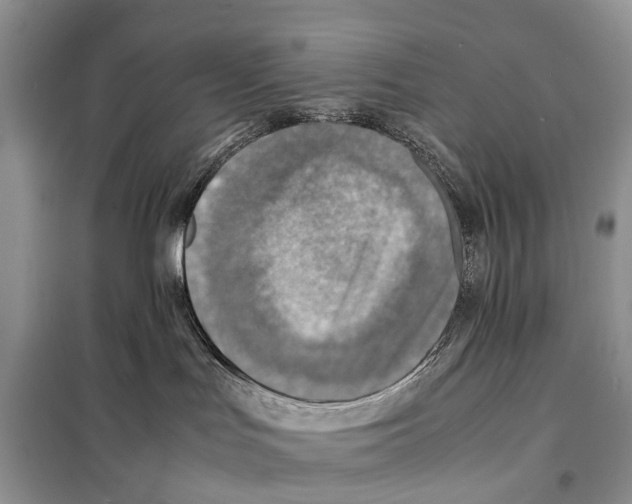 X0000097900047200804111056