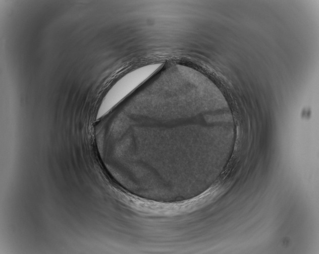 X0000097900048200804111056