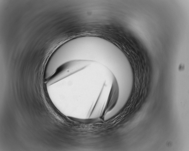 X0000097900049200804111055