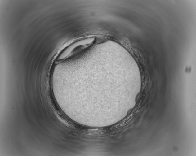 X0000097900050200804111056