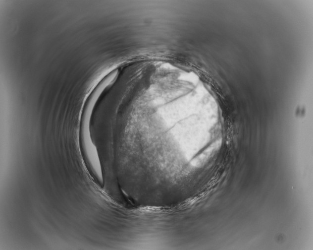 X0000097900052200804111056