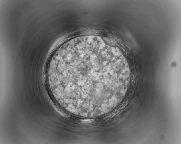 X0000097900053200804111056