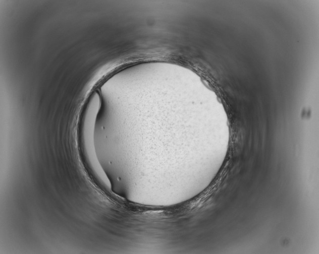 X0000097900054200804111056