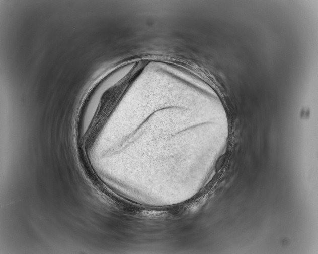 X0000097900055200804111056