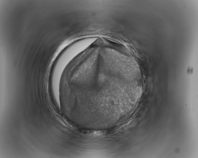 X0000097900056200804111056