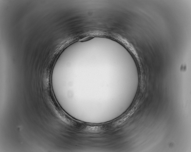 X0000097900057200804111056