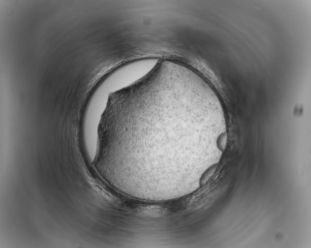 X0000097900058200804111056