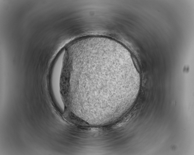 X0000097900060200804111056