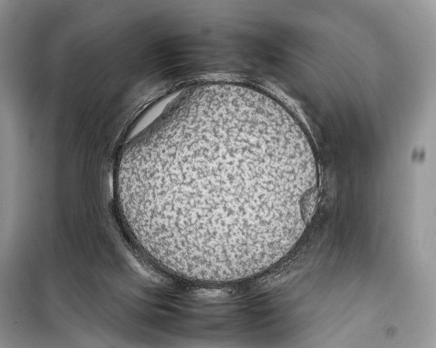 X0000097900061200804111056