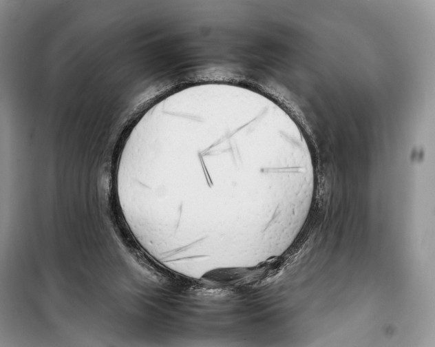 X0000097900063200804111056