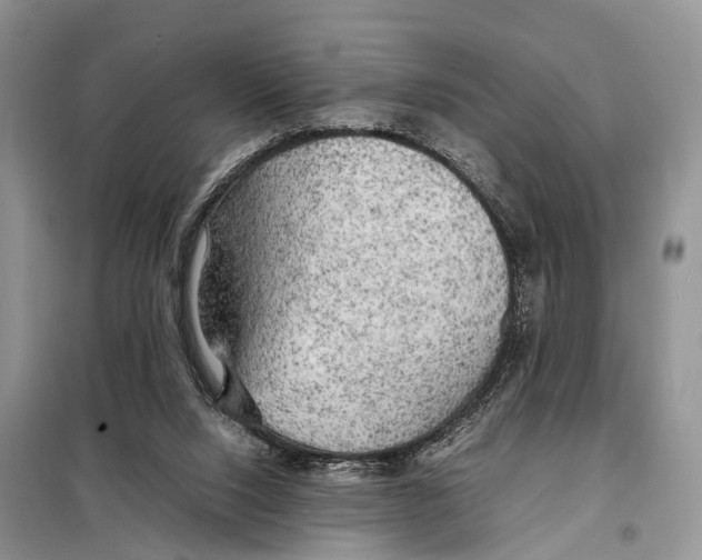 X0000097900064200804111056