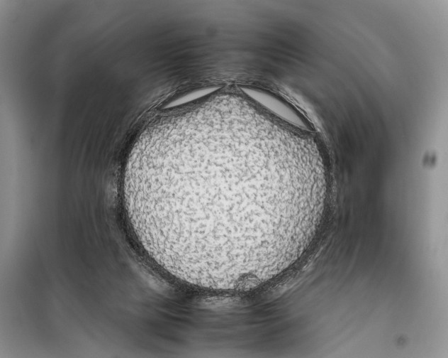 X0000097900065200804111056