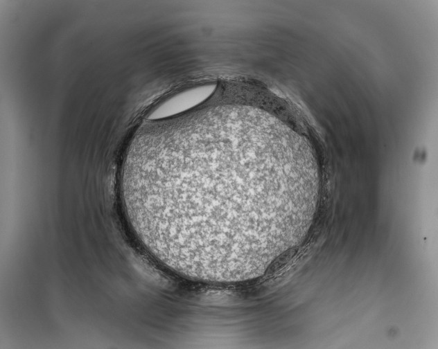 X0000097900066200804111056