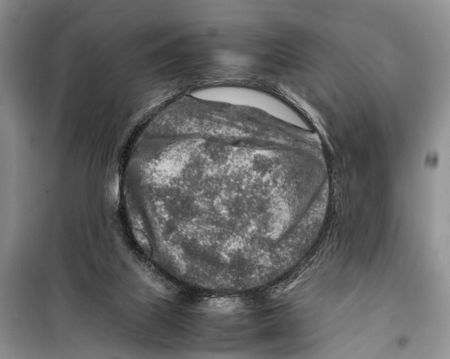 X0000097900067200804111056