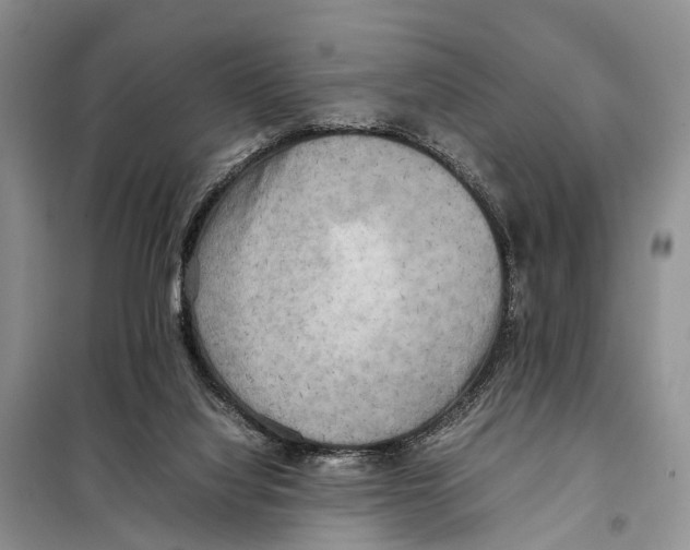 X0000097900068200804111056