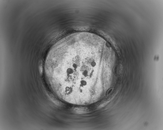 X0000097900069200804111056