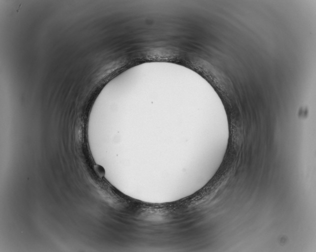 X0000097900071200804111056