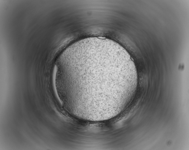 X0000097900072200804111056