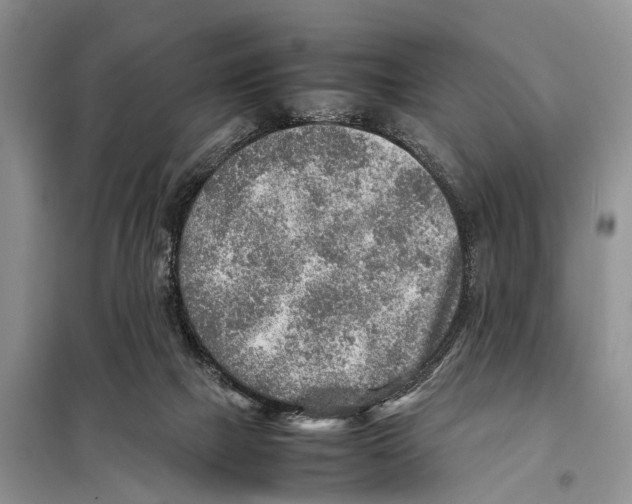 X0000097900073200804111056