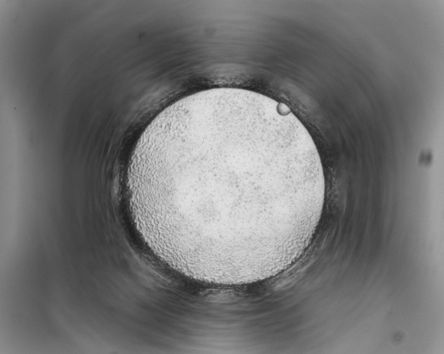 X0000097900074200804111056