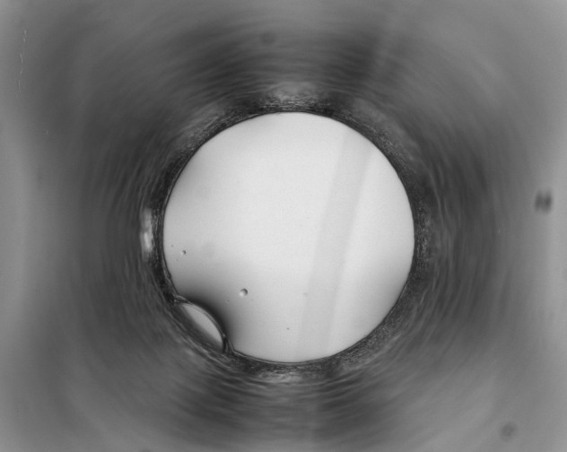 X0000097900075200804111056