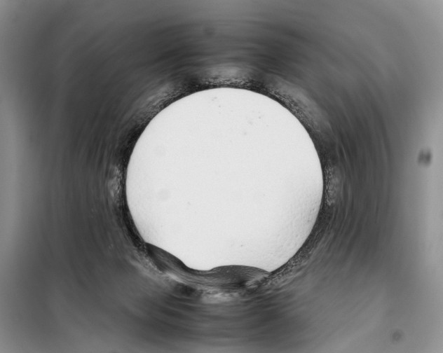 X0000097900077200804111056