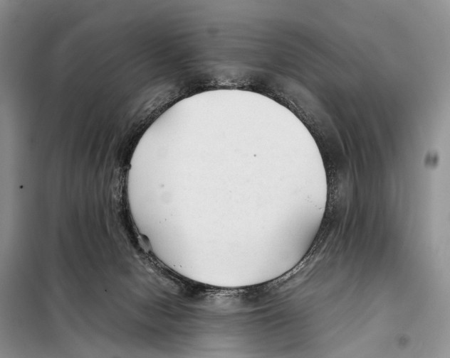 X0000097900078200804111056