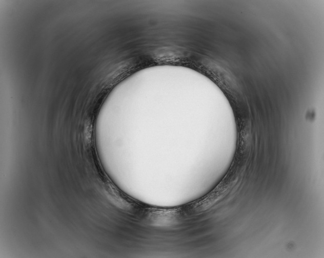 X0000097900081200804111056