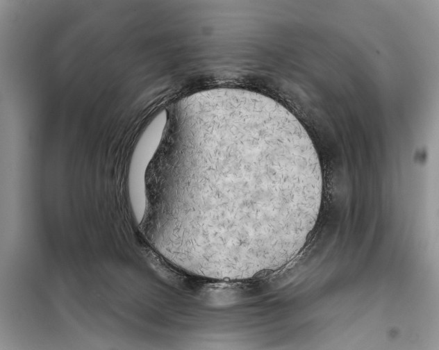 X0000097900082200804111056