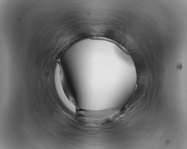 X0000097900084200804111056