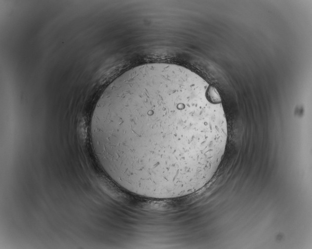 X0000097900086200804111056
