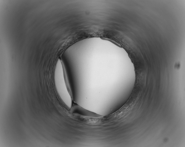 X0000097900088200804111056