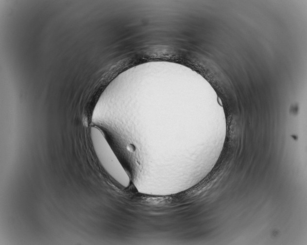 X0000097900089200804111056