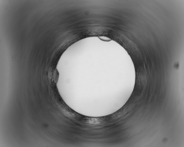 X0000097900091200804111056