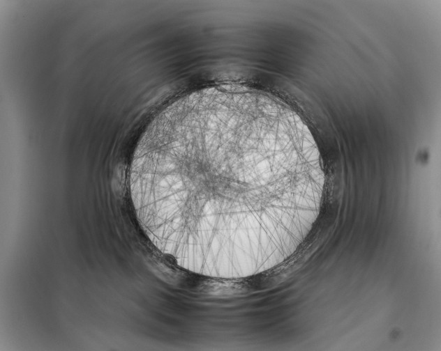 X0000097900093200804111056