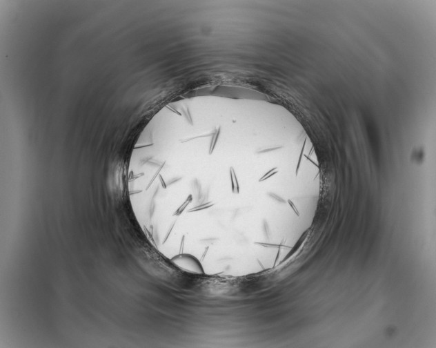 X0000097900094200804111056