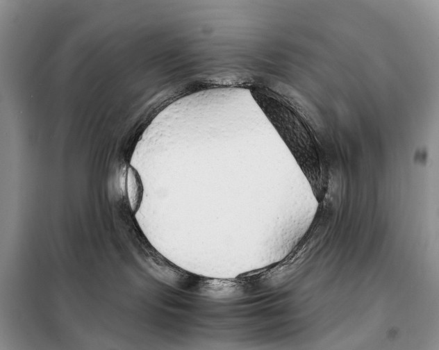 X0000097900095200804111056