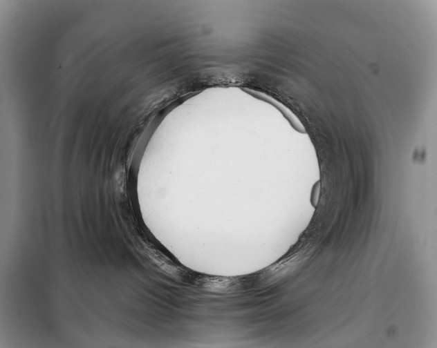 X0000097900096200804111056