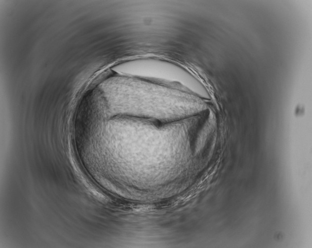 X0000097900097200804111055