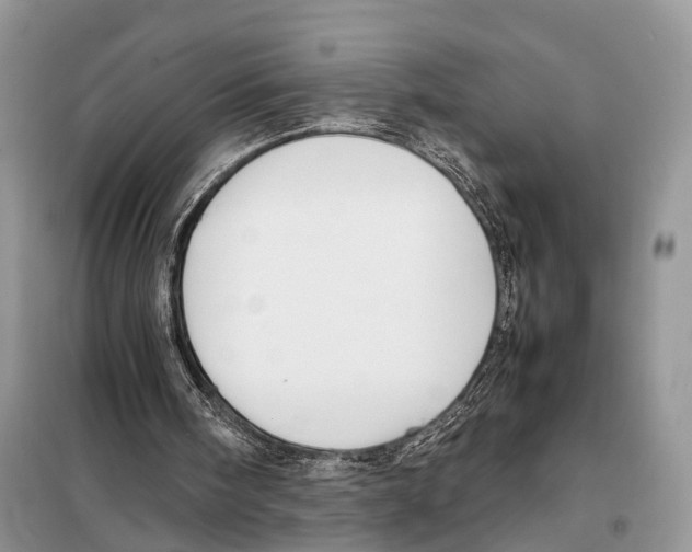 X0000097900098200804111055