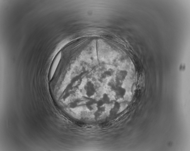 X0000097900099200804111055