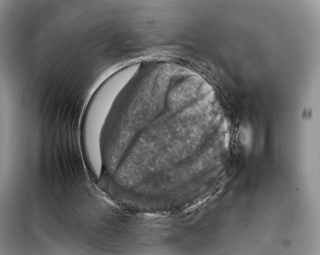 X0000097900100200804111055