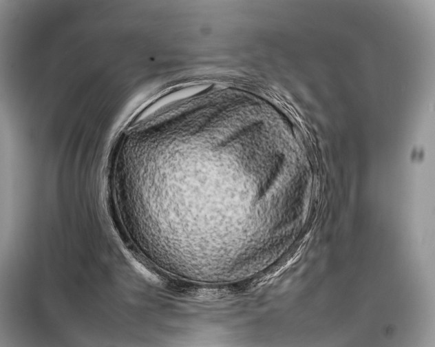 X0000097900101200804111055