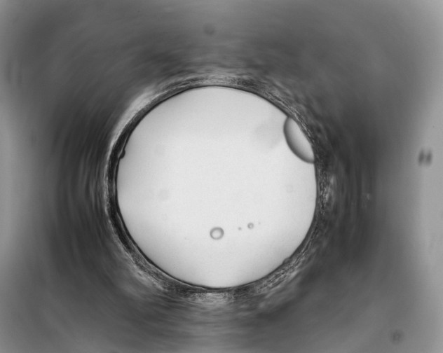 X0000097900102200804111055