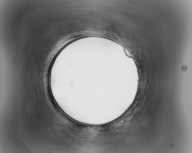 X0000097900103200804111055