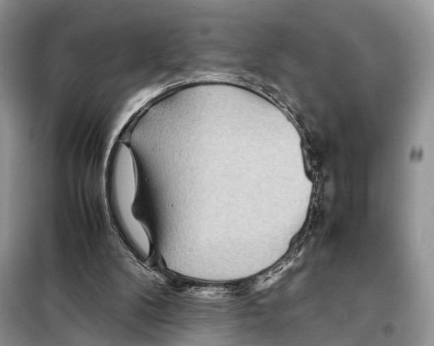 X0000097900104200804111055