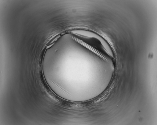 X0000097900105200804111055