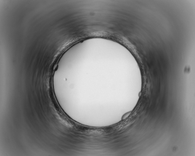 X0000097900106200804111055