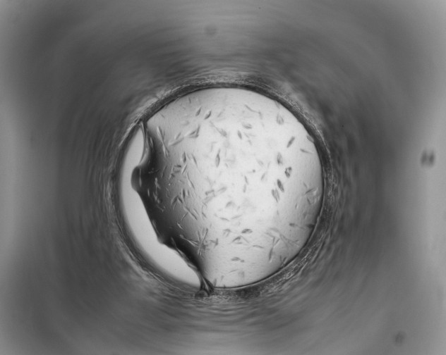 X0000097900107200804111055